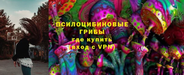 соль ск Медногорск
