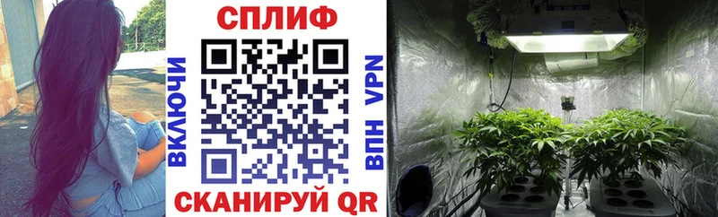 Бошки Шишки индика  где купить наркоту  omg как зайти  Дыгулыбгей 